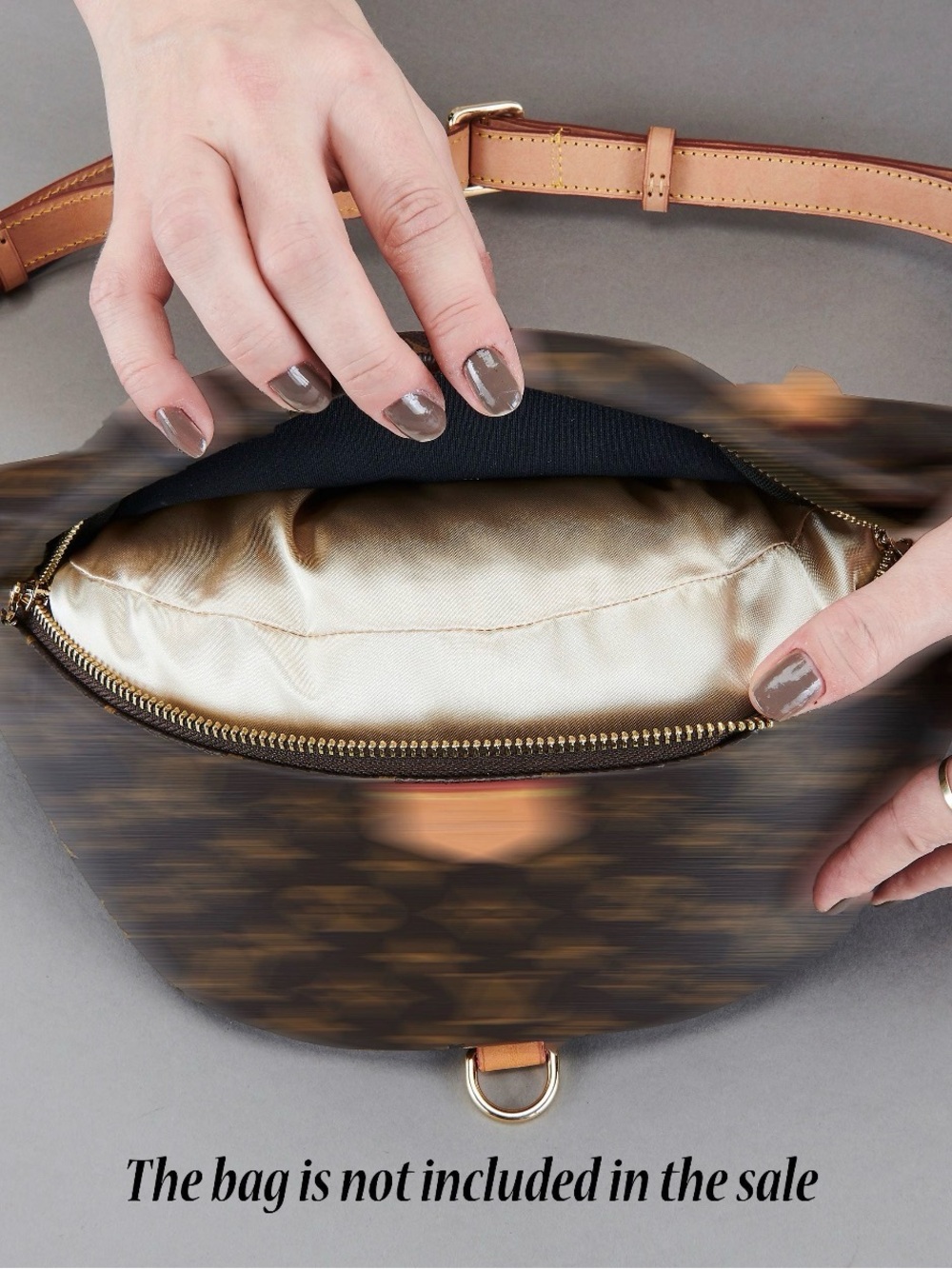 LV OG bumbag insert pillow